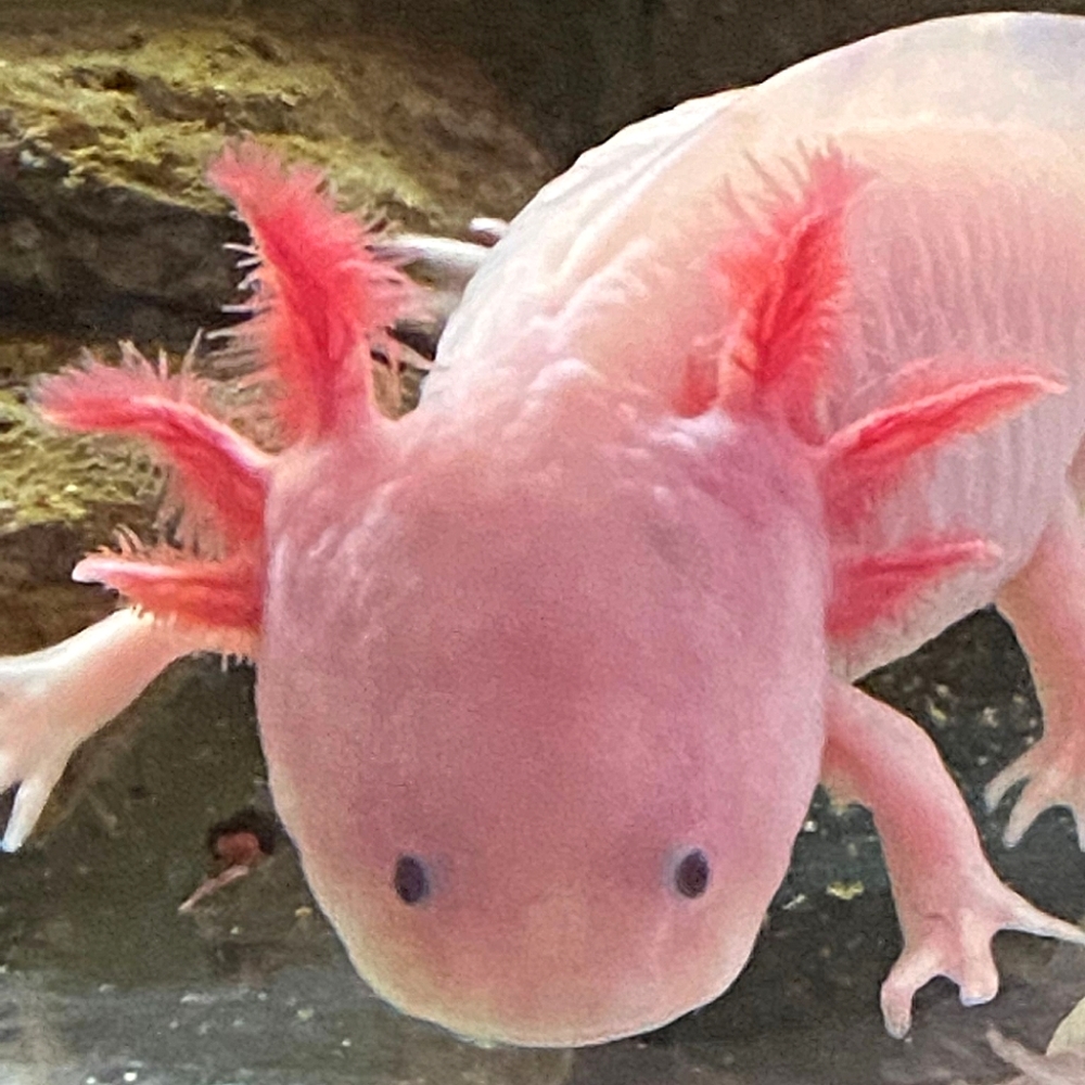 (⁠^⁠^⁠)
